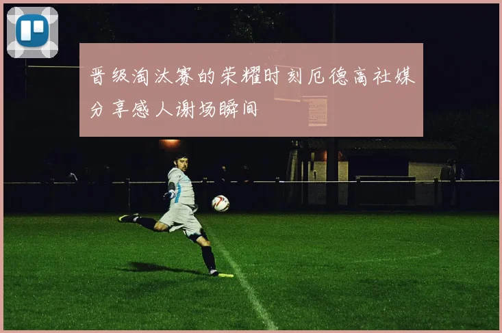 晋级淘汰赛的荣耀时刻厄德高社媒分享感人谢场瞬间