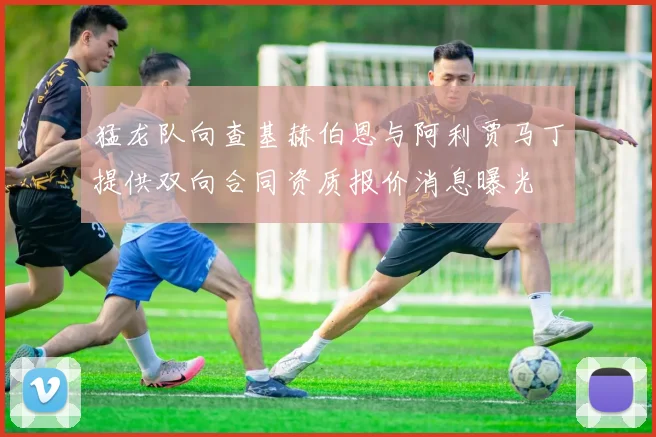 猛龙队向查基赫伯恩与阿利贾马丁提供双向合同资质报价消息曝光