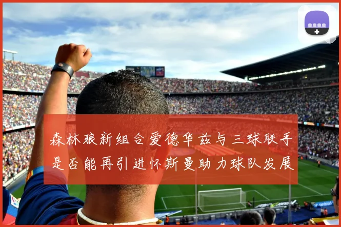 森林狼新组合爱德华兹与三球联手是否能再引进怀斯曼助力球队发展