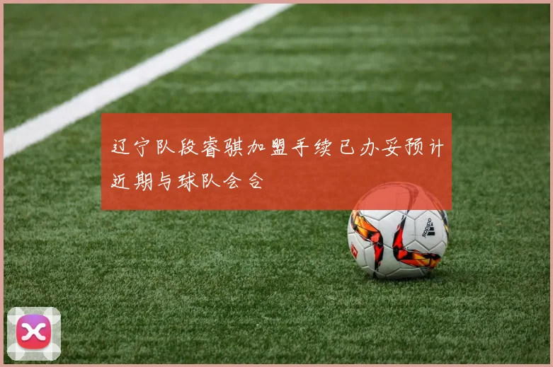 辽宁队段睿骐加盟手续已办妥预计近期与球队会合